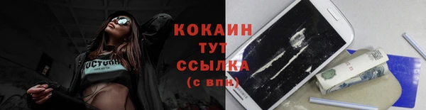 стаф Зеленокумск