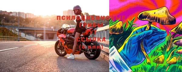 стаф Зеленокумск