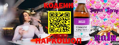 apvp Кингисепп