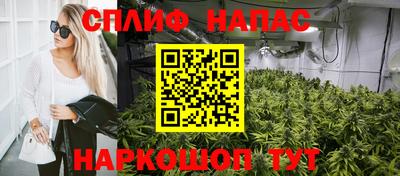 трава Кимры