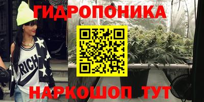 дмт Кинель