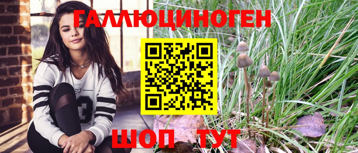 Галлюциногенные грибы прущие грибы  Вход с VPN  Славгород 