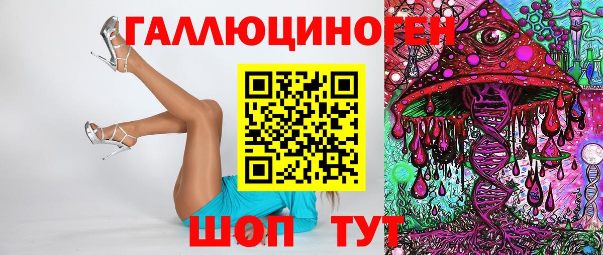 Галлюциногенные грибы Psilocybine cubensis Славгород